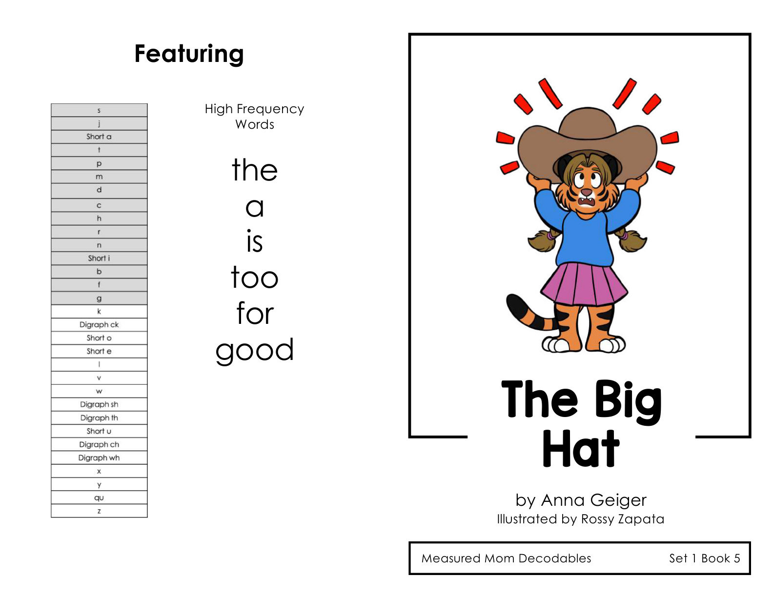 Decodable Book 9 - The Big Hat
